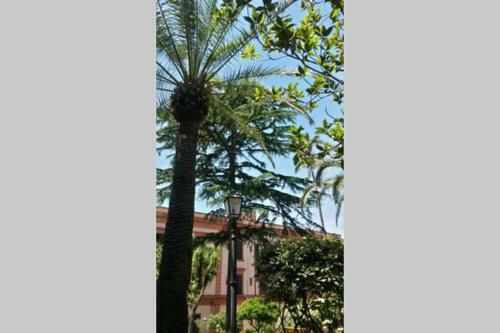 Il Guardiano Di Villa Falco