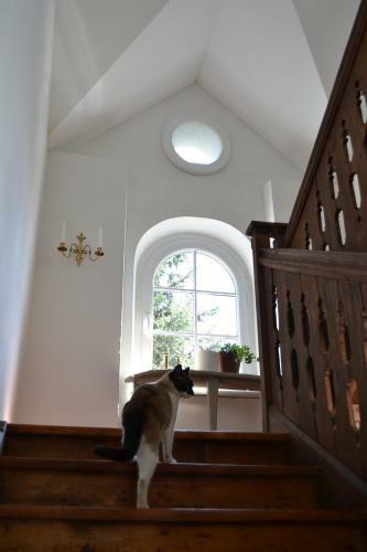 Apartamento Altes Pfarrhaus Altersberg