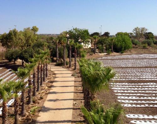 Apartamento Villa Dea