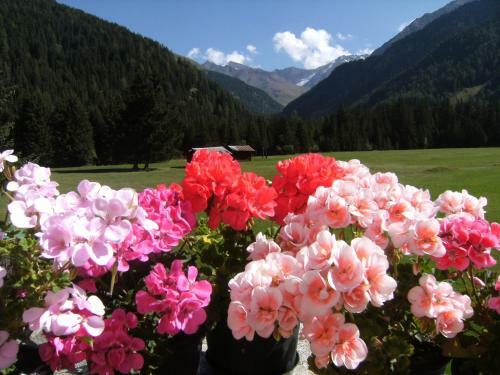 Hotel Garni Thurwieser - B&B