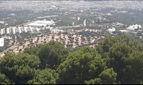 Hotel Trullo Dell'immacolata