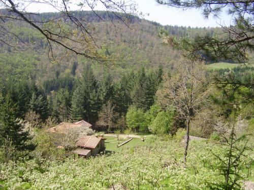 Apartamento Casale Camalda