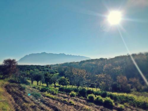Agroturismo Casa Agricola Scorziello