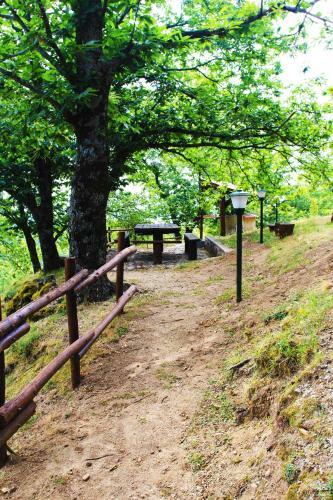 B&B Colle Angaro-azienda Agrituristica