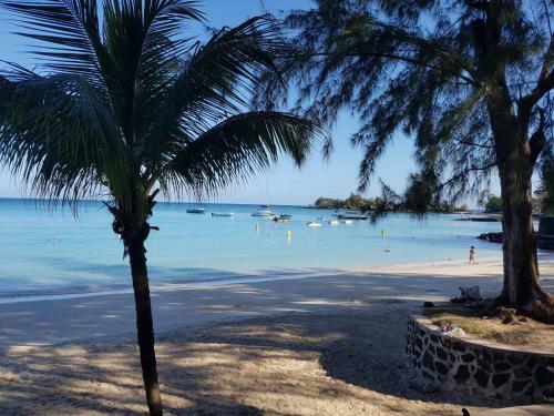 Apartamento Lapiroguevilla (Tourist Resident Licence 03596)