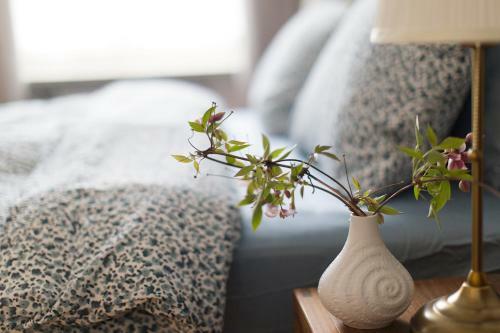 Sommavilla Apartments - Central Living