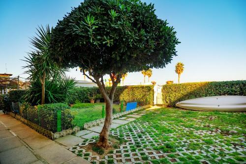 Apartamento Intero Appartamento Fronte Mare Valter II