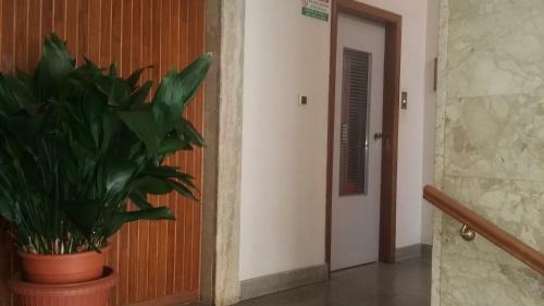 Apartamento Appartamento Azzurro Mare
