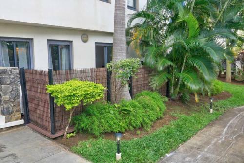 Apartamento Le Z�vi - Appt T2 Saint Denis