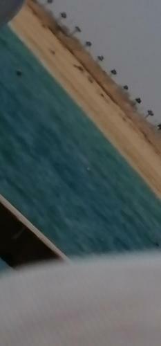 Apartamento Marina Wadi Degla