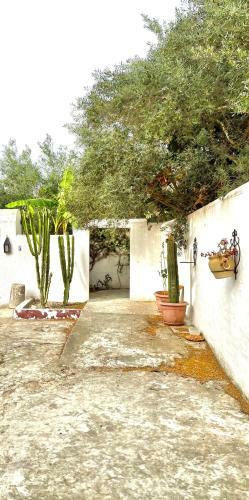 Apartamento Le Cocon de Hammamet, Best Area