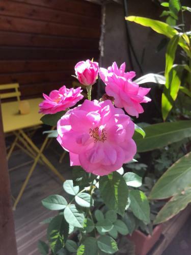 Bed & Breakfast Chambre1 R�sidence Beauregard