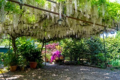 B&B Al Mare Sorrento