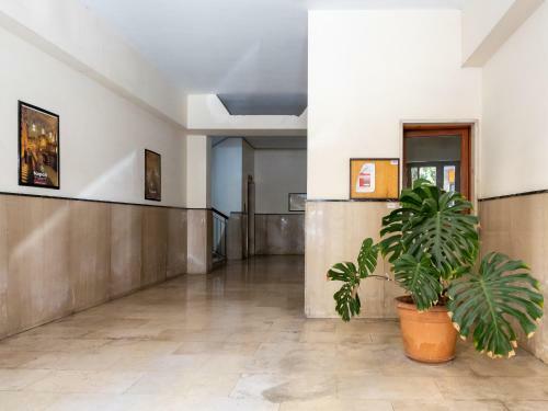 Enea Apartment In Sorrento Center