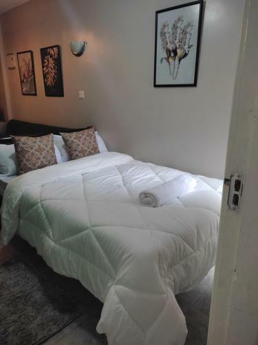 Akwizzo Fully Furnished Studio Apartment
