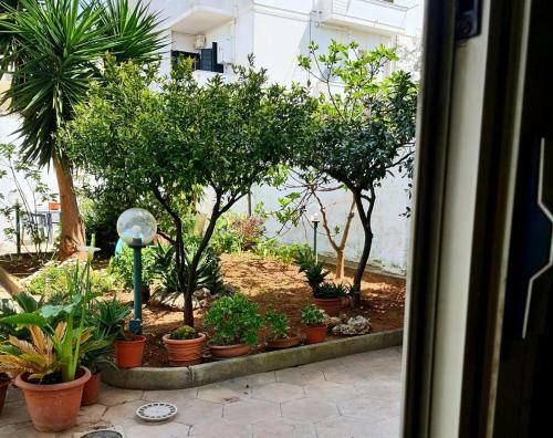 Apartamento A Casa Di Raffaella E Antonio