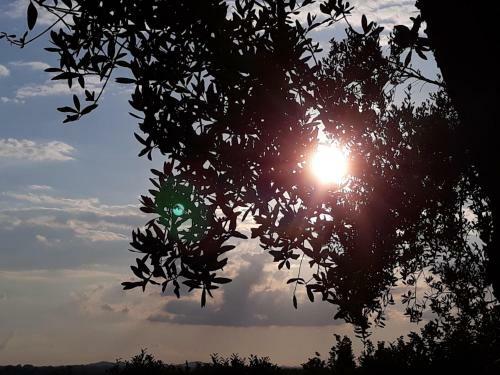 Bed & Breakfast L'orto Sul Poggio
