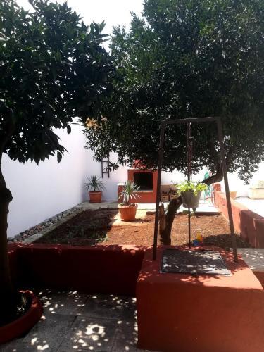 Casa Vacanze Le Contadine