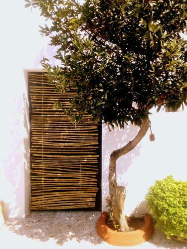 Casa Vacanze Le Contadine