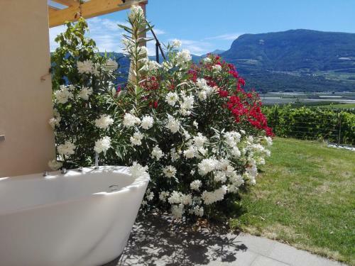Agroturismo Gutshof Rellich