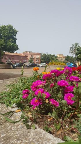 La Casa Rosa-the Pink House