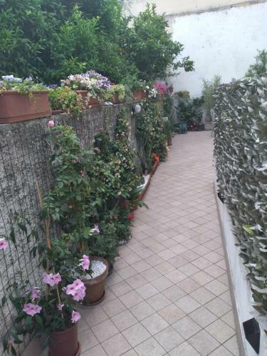 Apartamento Appartamento A 500 Mt. Dal Mare