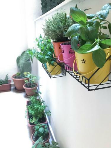 Apartamento Hydra
