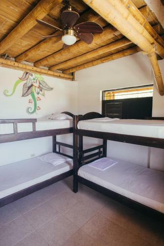 Hostal La Tortuga Hostel