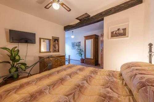 Hostal Lemon Tree Boutique Guest House