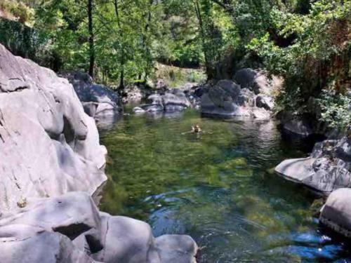 Charming Holiday Home At Vellano With Swimming Pool