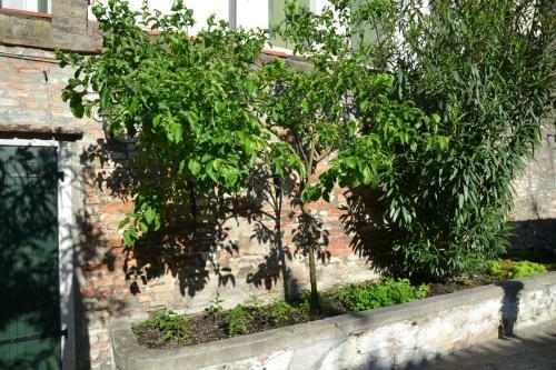 Apartamento Ca' Ermina & Garden