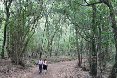 Casa Rural El Rinc�n De Antonia