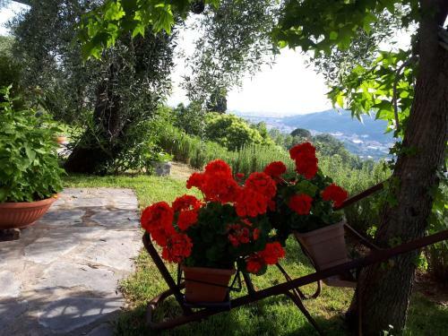 Bed & Breakfast La Gatta Sul Sentiero