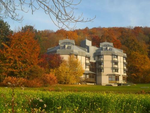 Albergue Jugendherberge L�rrach