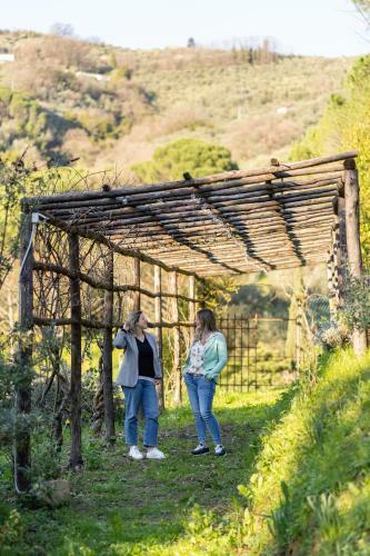 Agroturismo Agriturismo Bellandi