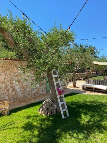 Bed & Breakfast Aria Di Casa Country Resort