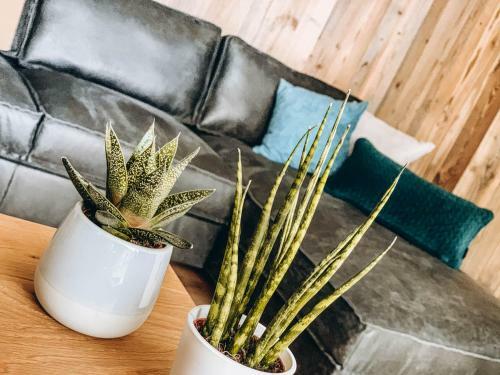 Four Peaks Apartment