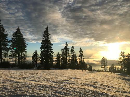 Villa Chalupa U Ka?�rk?