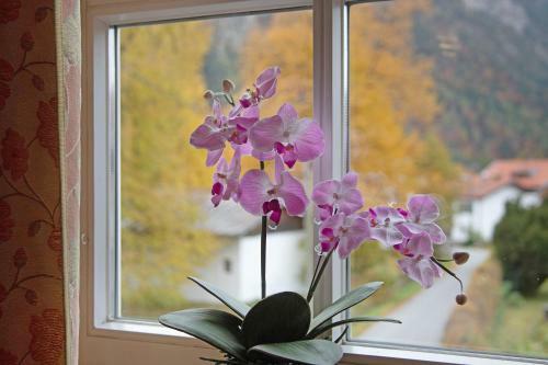Apartamento Seeberg - Haus Annamirl