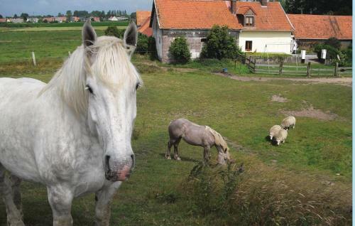 Holiday Home Ferme de La Butte J-866