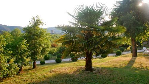 Bed & Breakfast Domaine Le Peyrou