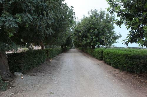 Agroturismo Masseria La Duchessa