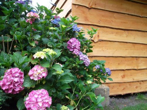Bed & Breakfast Hof Van Lutten