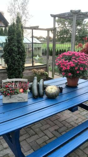 Bed & Breakfast Hof Van Lutten