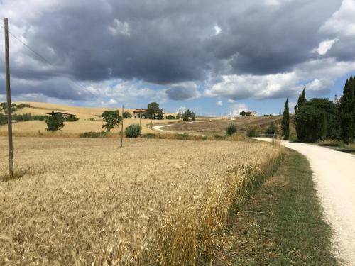 Agroturismo Il Girasole Terzuolo