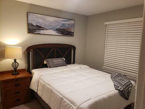 Spacious Ski House W/fireplace & Fenced Yard!