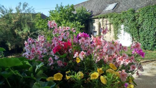 Bed & Breakfast Le Manoir de Crisolles