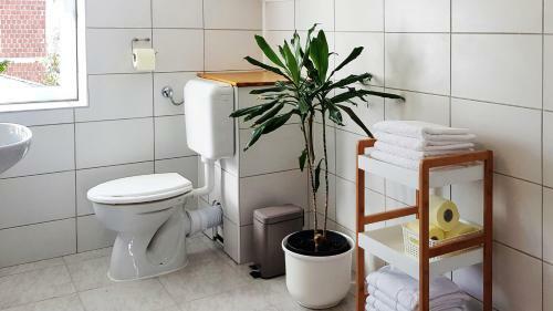 Apartman 13