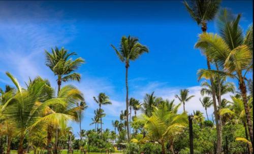 Hotel Vivant Eco Beach Resort