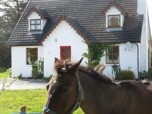 Villa Letterfrack Mountain Farm Cottage